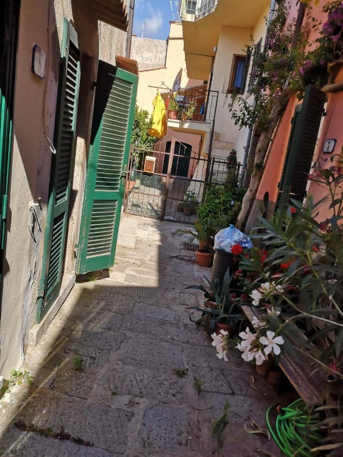 Moonlight Apartament San Piero in Campo  外观 照片